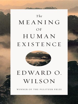 The Meaning of Human Existence - ebook